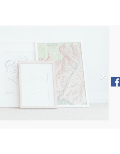 Facebook like box